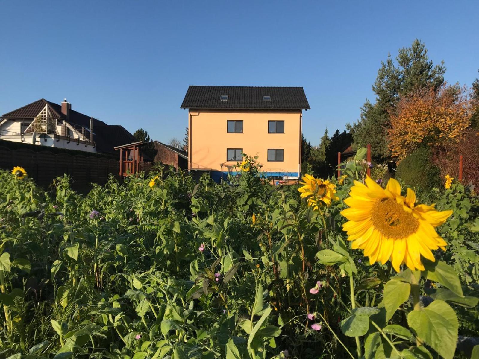 Stadt. Land. See. Ferienwohnung Leipzig Eksteriør billede